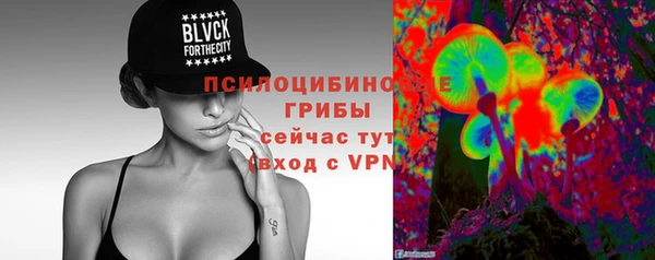 ешки Козельск