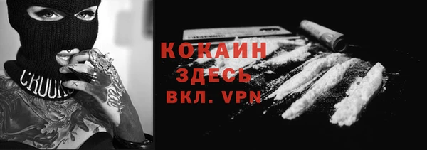 ALPHA PVP Кодинск