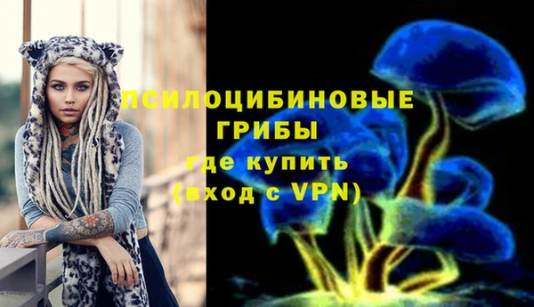 ешки Козельск
