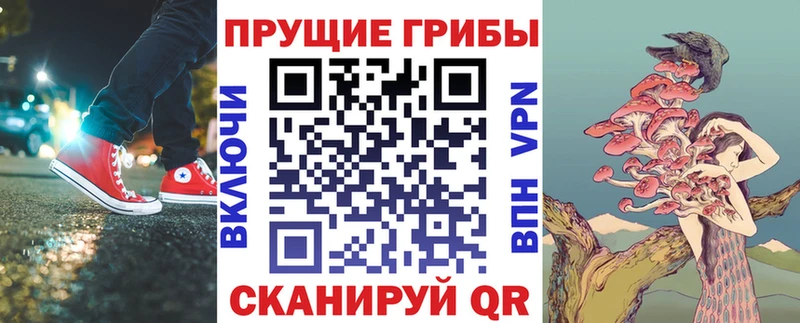 Псилоцибиновые грибы мицелий  Купить  Микунь 